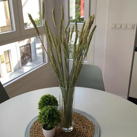 Apartament Encanto En El Centro De Alicante